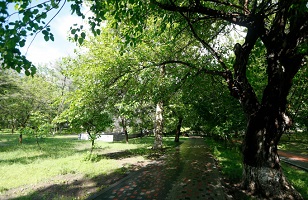 Какие в Ереване значимые парки